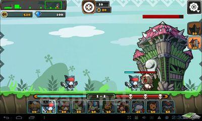 Cat War