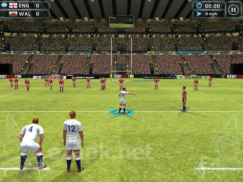 Rugby nations 15