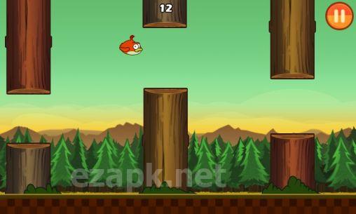 Clumsy bird