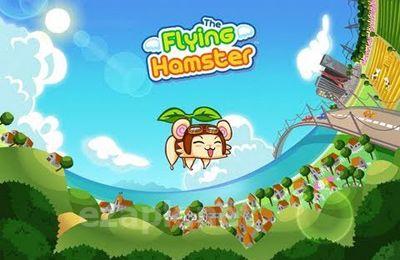 Flying Hamster