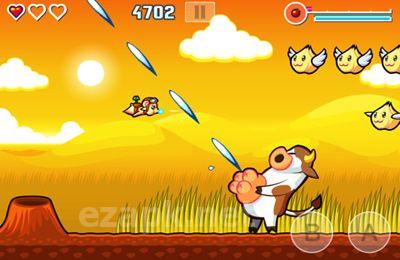 Flying Hamster