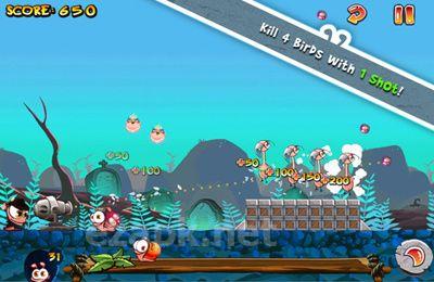 Worm vs Birds