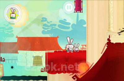 Kung Fu Rabbit