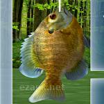 Fishing 3D