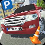 Luxury parking