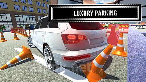 Luxury parking