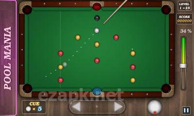 Pool Mania
