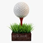 Mini golf club 2