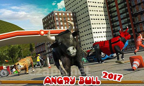Angry bull 2017
