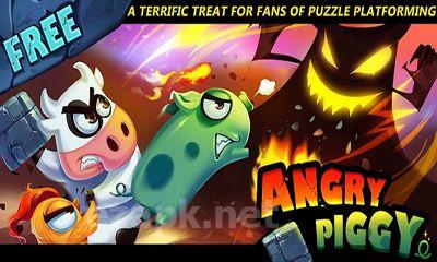 Angry Piggy Adventure