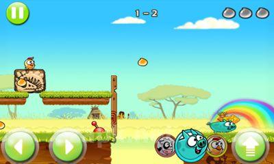 Angry Piggy Adventure