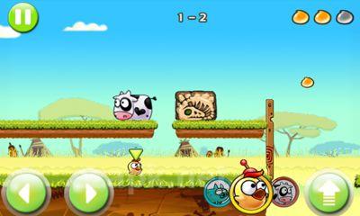 Angry Piggy Adventure