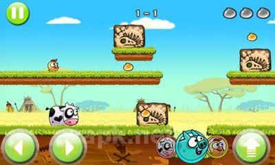 Angry Piggy Adventure