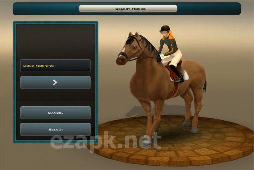 Race horses champions 2