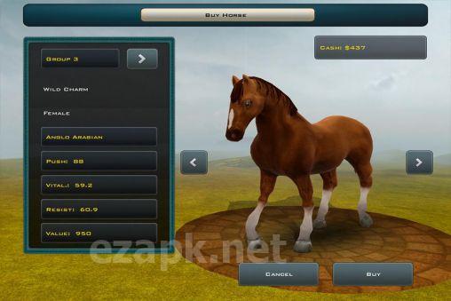 Race horses champions 2