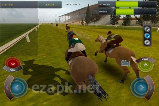Race horses champions 2