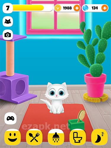 Paw paw cat