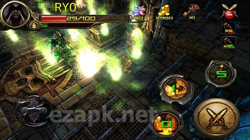 Dungeon hunter: Ninja assassin