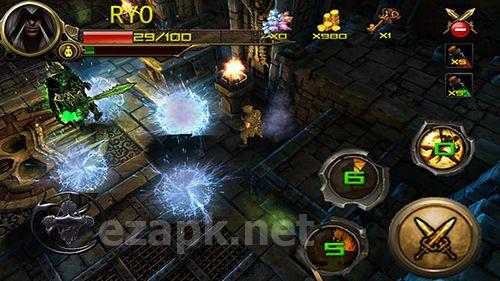 Dungeon hunter: Ninja assassin