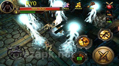 Dungeon hunter: Ninja assassin