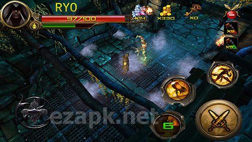 Dungeon hunter: Ninja assassin