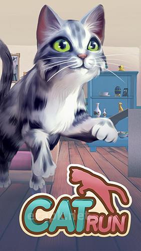 Cat run