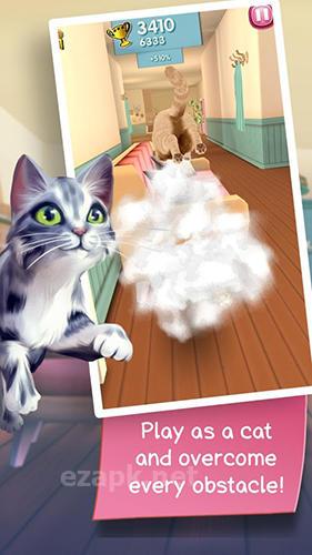 Cat run