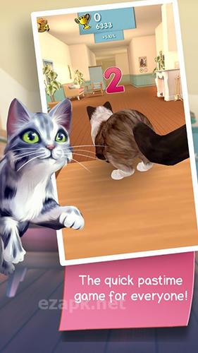 Cat run