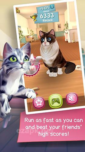 Cat run