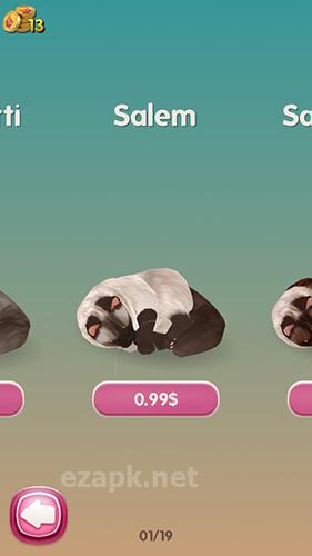 Cat run