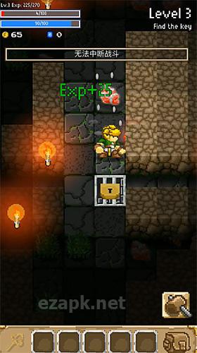 Mystery dungeon: Roguelike RPG