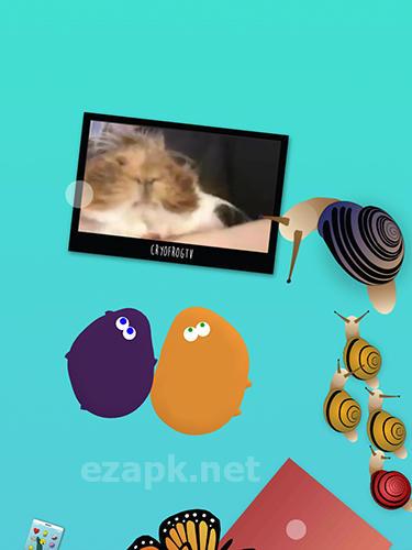 Pet amoeba: Virtual friends