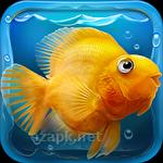 iQuarium