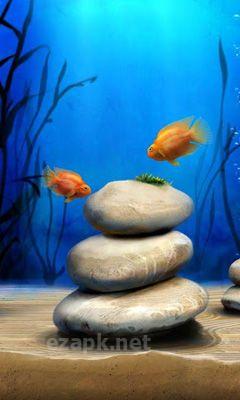iQuarium