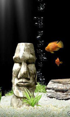 iQuarium
