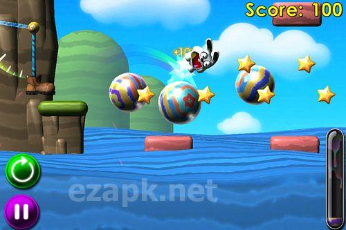 Bounce the bunny