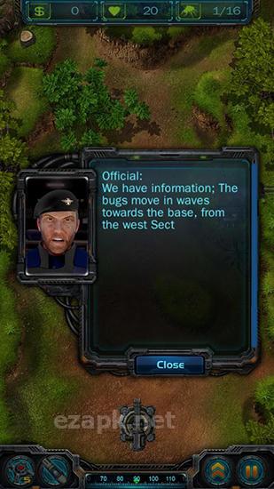 Rise of bugs