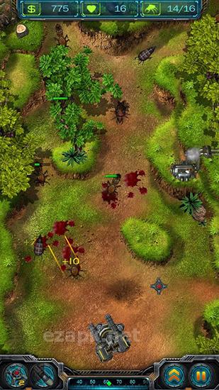 Rise of bugs