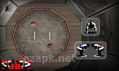 Sumo