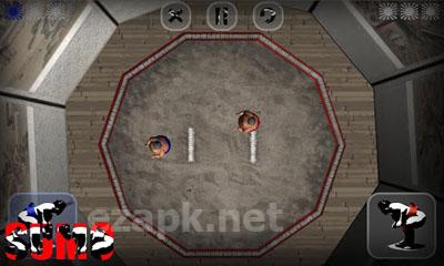 Sumo