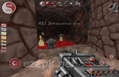 Shadow Warrior