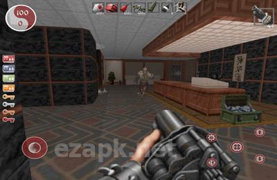 Shadow Warrior