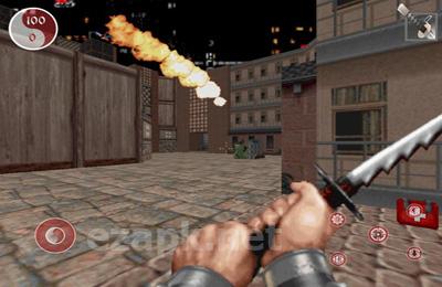 Shadow Warrior