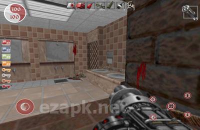Shadow Warrior