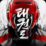 The taekwondo game: Global tournament