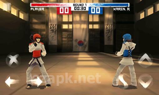 The taekwondo game: Global tournament