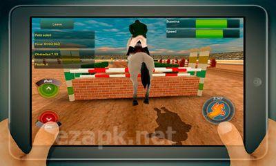 Jumping Horses Champions
