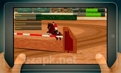 Jumping Horses Champions