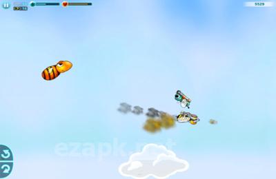 AngryFly