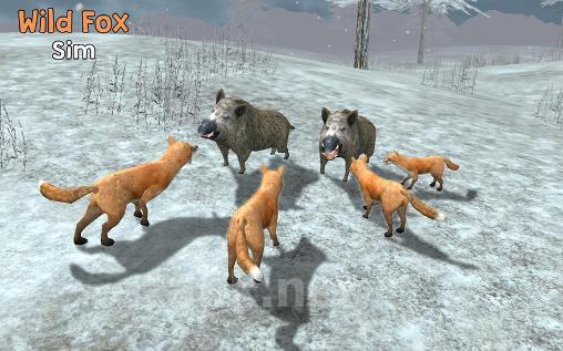 Wild fox sim 3D